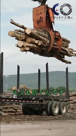 数千本の木材が段ボールになるまで：製紙工場の壮大な工程