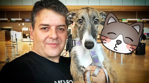 I flew a dog and cat to their new life in Amsterdam!