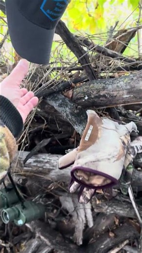 Found a good spot for muzzleloader season