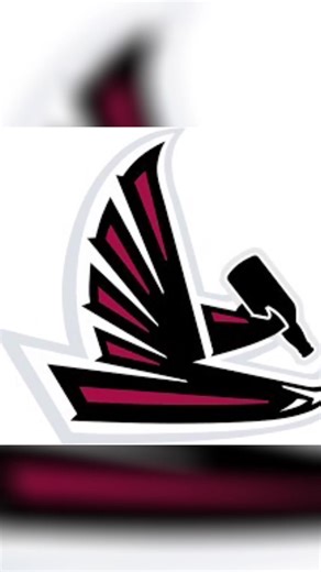 #newbusinessowner #fypシ゚viral #tampanative #tampa #customhoodies