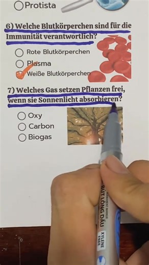 Lernen deutsch | Wir lernen einfach deutsch