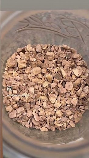 Red Root: The Powerful Blood Cleanser & Lymphatic Support | Herb of the Day