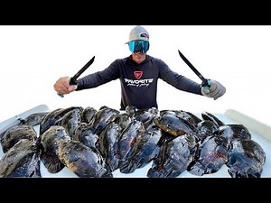 It’s Time to Get MESSY! (Oscars and Peacocks Catch Clean & Cook)