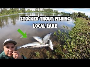 Stocked Trout Fishing at Local Lake (Limits)! I Oregon Trout Fishing at Walter Wirth Lake (2 Days)!