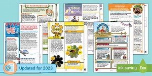 LKS2 May Reading Comprehension Activity Pack