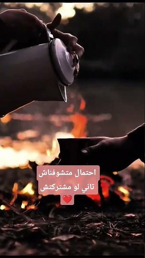 اصوات الغابة السوداء ظاهرة رعب و غموض غير محلولة لحد الان