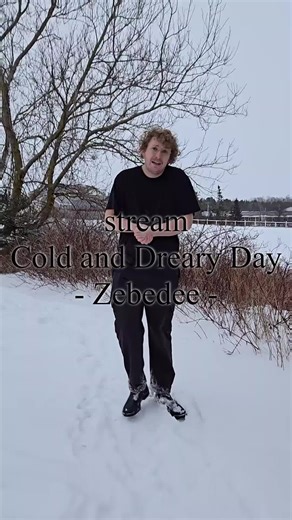 Cold Dreary Day - Zebedee