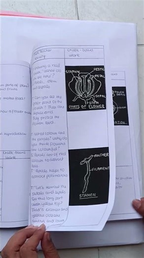 Biological Science lesson plan 📝 # B. Ed.