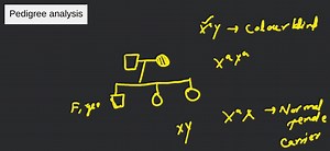 What is pedigree analysis... | Filo