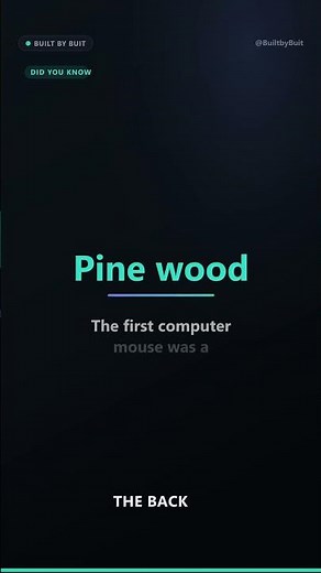 Why is your computer mouse called a mouse