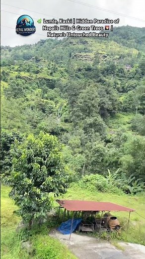 🌿 Lumle, Kaski | Hidden Paradise of Nepal’s Hills & Green Trees 🌄 | Nature’s Untouched Beauty