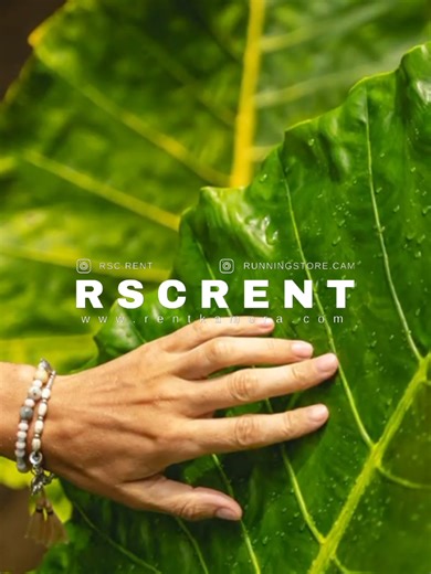 MAU JUAL / BELI DAN SEWA CAMERA !? LANGSUNG DM AJA YA GESSS 😊 #sonyfx3 #kameramurah #kamerajakarta #jualbelikamera