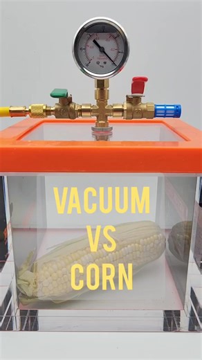 Vacuum vs Corn - See what happens? #stem #science #vacuum #satisfyingvideo #asmr