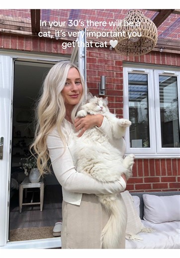 Embracing Cat Mama Life: A Journey with Ragdolls