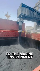 Gaano ka importante ang Shippers Cargo Declaration.🇵🇭 #fypシviralシ2025 #highlightseveryonefollowers #starsenderseverywhere #SeafarersLifeOnboard #SEAMAN #fypシ゚viralシfypシ゚ #seamanph | Captain Bing