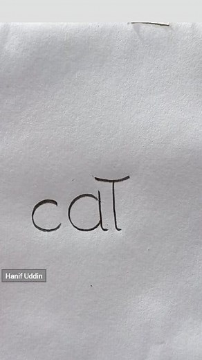 38K views · 304 reactions | How to Draw a Beautiful Cat Step by Step #art #drawing #fblifestyle | Hanif Uddin | Facebook