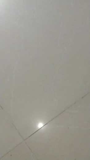 dankoolkid នៅលើ TikTok