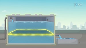 Video: Control Volume and System Representations