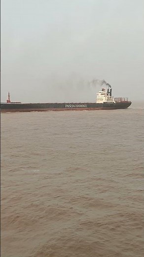 container ship full speed in beaching in yard #viral #ship #containerships