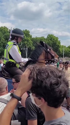 130K views · 1.2K reactions | Rude Visitor Shut Down Instantly by Policewoman’s Authority.! #KingsGuardParade #TraditionAndHeritage #RespectAndHonor #CulturalCelebration #UnityInDiversity #MomentsOfJoy #HistoricalSignificance #TogetherInAdmiration #PrideInOurPast #CherishedMemories | King's Guard Parade | Facebook