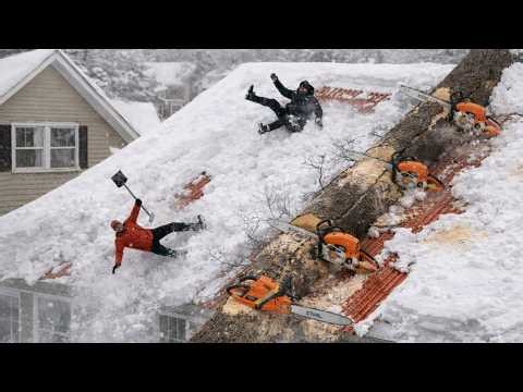 Logging Fails Compilation | Chainsaw Mistakes & Truck Disasters