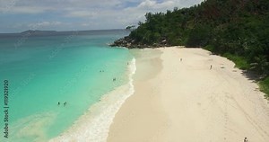 Exotic coast with exotic palm trees on the golden sand