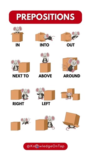 Prepositions in English Grammar #shortsfeed #english