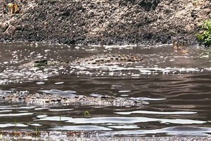 731K views · 12K reactions | River Giants - [ हिन्दी डाक्यूमेंट्री ] Part 4 , #nature #animals #documentary #discovery #wildworlddocumentary | Wild World | Facebook