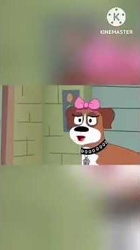 (Watch this Video and ￼Read the Description) #shucks #poundpuppies