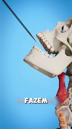 “Como os Mágicos Engolem Espadas Sem Se Ferir” #shortvideo #viralvideo