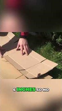 Sheet Composting: The 1940s Trick for Amazing Gardens! #shorts