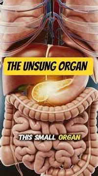 The Pancreas Explained | How It Controls Blood Sugar, Energy & Digestion #viral #shorts