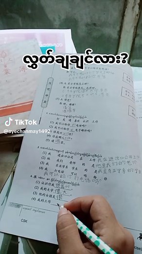 Learning Chinese at Level 1: Writing Practice Guide