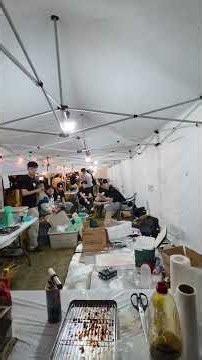 2026 서울대학교 가을 축제에 감성조명 세팅과 관리 성화레저