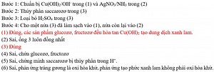 Tiến hành thí nghiệm theo các bước sau: Bước 1: Cho vào ống nghiệm 2 – 3 giọt CuSO4 5% và 1ml dung dịch NaOH 10% - O₂ Education