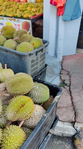 60K views · 311 reactions | ★★★★DURIAN EXPO-榴莲大卖场★★★★...