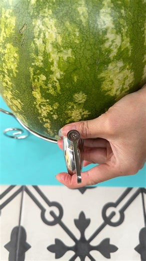 Easy summer drink hack that everyone will love 🍉 I do this for all my summer pool parties. #diy #summer #watermelon #drinks | Annie Lynn