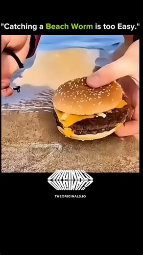 KNOWLEDGE ILLUSION on Instagram: "Catching a Beach Worm Is Too Easy — If You Know the Trick Beach worms may look impossible to grab… but with the right technique, they practically come to you. Here’s how experienced catchers do it: 🔹 1. Find the Right Tide Low tide exposes the perfect wet sand zone where worms are active. 🔹 2. Use a Strong-Smelling Bait Fish frames, pilchards, or any smelly bait attract worms instantly. 🔹 3. Tease the Worm Up Gently move the bait in the waterline — the worm r