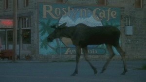 Watch Northern Exposure&colon; Season 1 on Amazon Live