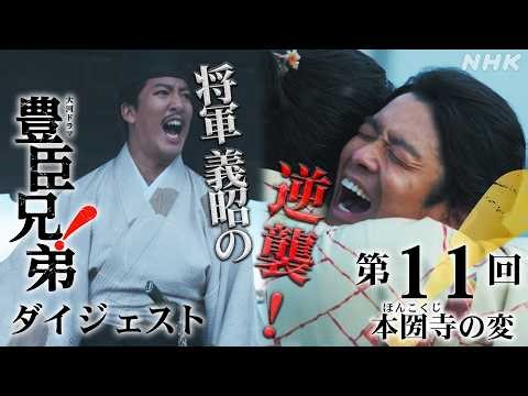 【大河ドラマ 豊臣兄弟！】第11回ダイジェスト「本圀寺(ほんこくじ)の変」| NHK