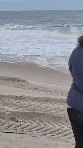 688K views · 2.3K reactions | Beached whale north of the Indian River Inlet in Delaware | First State Update | Facebook