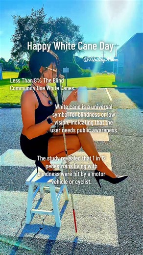 5.1K views · 88 reactions | Happy White Cane Day ‍羚 Less Than 8%...