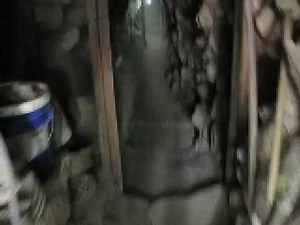 Rosalila, Mayan Temple @ HONDURAS