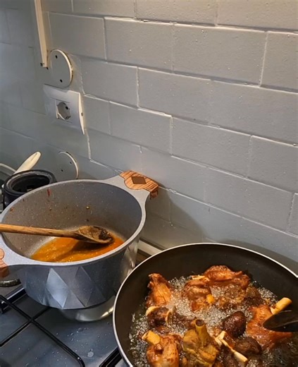 Turkey show | light Igori tv channel