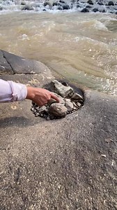 3.2K reactions · 26 shares | gold prospecting 2024, finding gold in sand, gold prospecting for beginners#viral #mininggold #lookingforgold #panningforgold #goldprospecting #treasure #panningforgold #findinggold #goldnugget #goldmining | Anis Gold Prospecting | Facebook