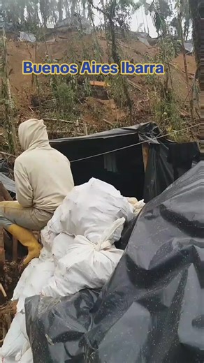 Descubre Ibarra en Buenos Aires: Cultura y Trabajo