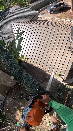 Tree Worker TV on Reels