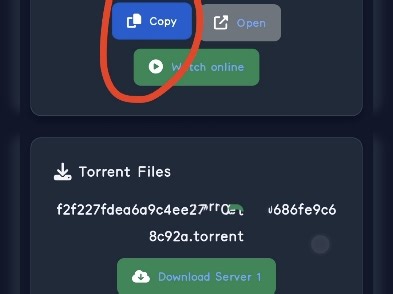 更新webview解决网页部分功能异常