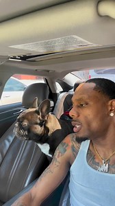 56K views · 2.2K reactions | Asking my dog to judge my new song | Myron Jewell | Facebook