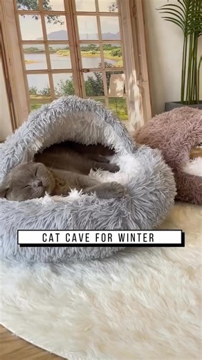 Not Just a Bed - It's a Plushy Pet Paradise!. Link is in the comments! Don't miss it! | Beautiful cats
